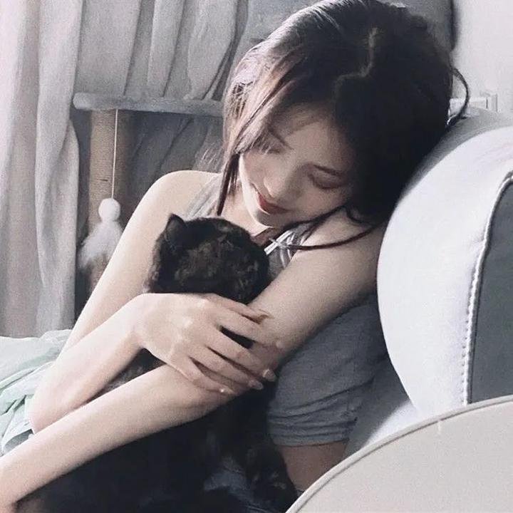 星卡梦少女1花语笔记 海报