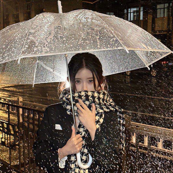 海棠经雨胭脂透 海报